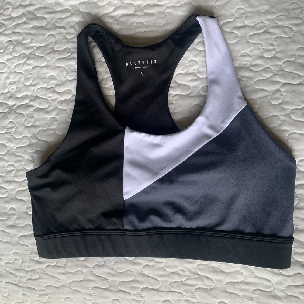 NWOT All Fenix Sports Bra // Large